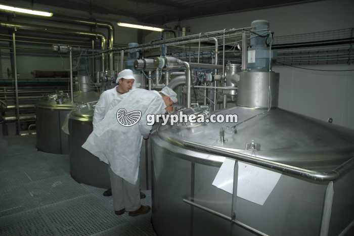 Fabrication du fromage - Cuves de fermentation - gryphea.org